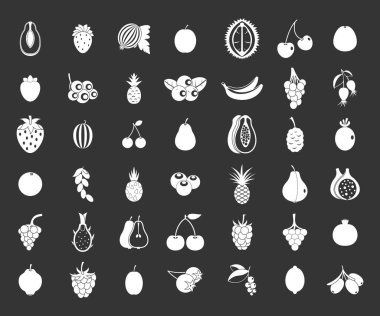 Gri vektör meyve Icon set