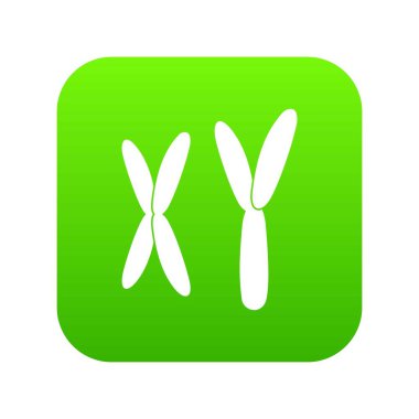 İnsan kromozomlarının simgesi dijital yeşil