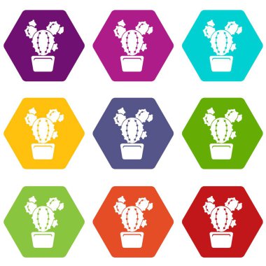 9 vektör daire kaktüs Icons set