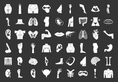Gri vektör insan vücudu Icon set