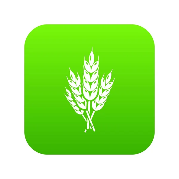 Wheat icon green vector — Stock Vector