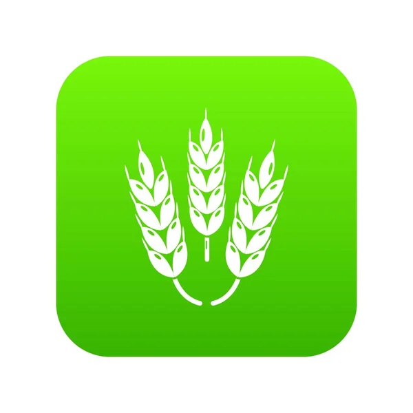 Ζουμερά διάνυσμα εικονίδιο πράσινο σιτάρι — Διανυσματικό Αρχείο