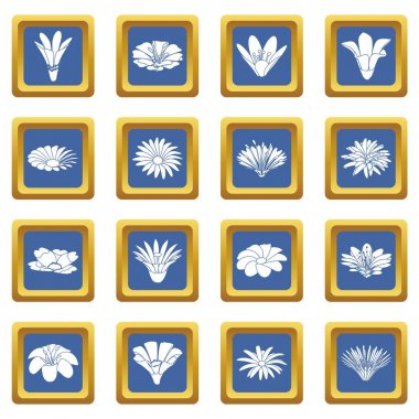 Mavi kare vektör detaylı çiçek Icons set