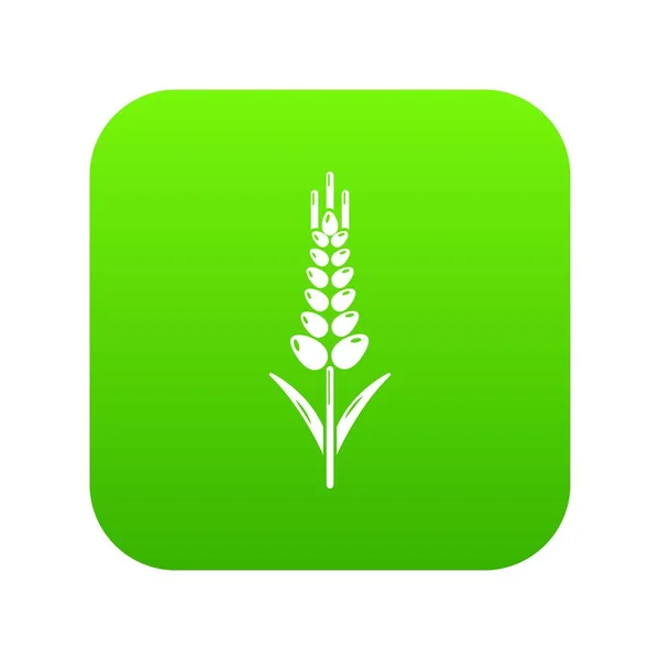 Blé de blé icône vecteur vert — Image vectorielle