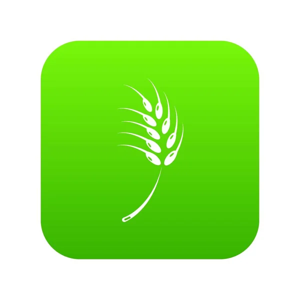 Icône blé granuleux vecteur vert — Image vectorielle