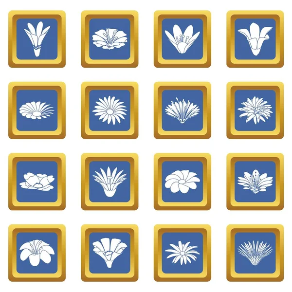 Ícones de flores detalhadas definir vetor quadrado azul — Vetor de Stock