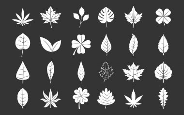 Gri vektör yaprak Icon set
