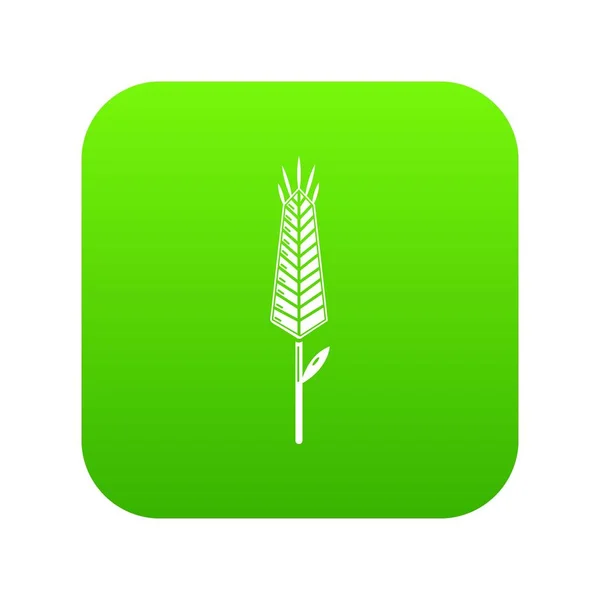 Wylewanie pszenicy zielony wektor — Wektor stockowy