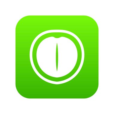 Macadamia nut simgesi dijital yeşil