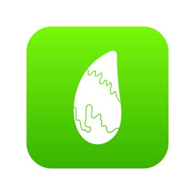 Brezilya cevizi simgesi dijital yeşil