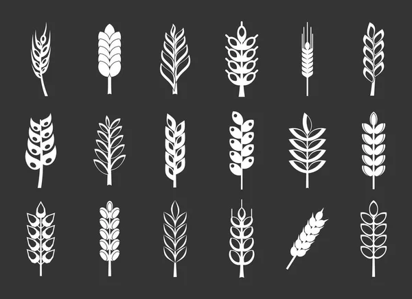 Серого вектора иконки пшеницы — стоковый вектор