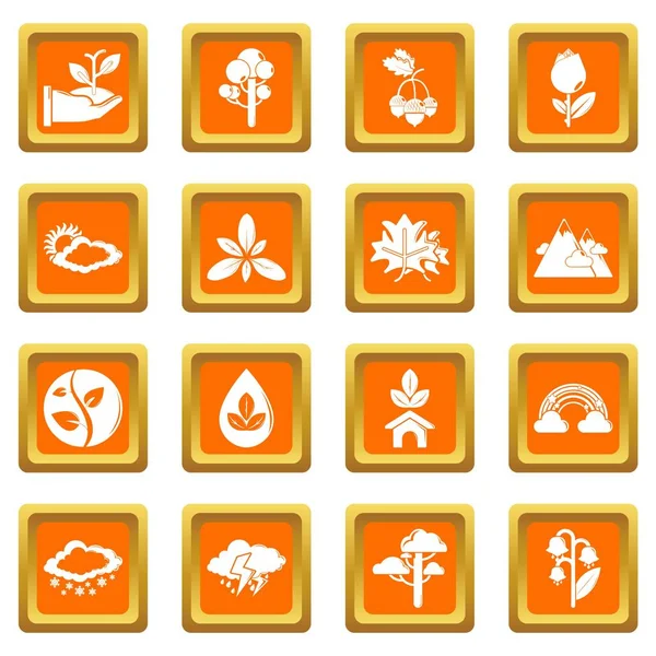 Turuncu kare vektör doğa Icons set