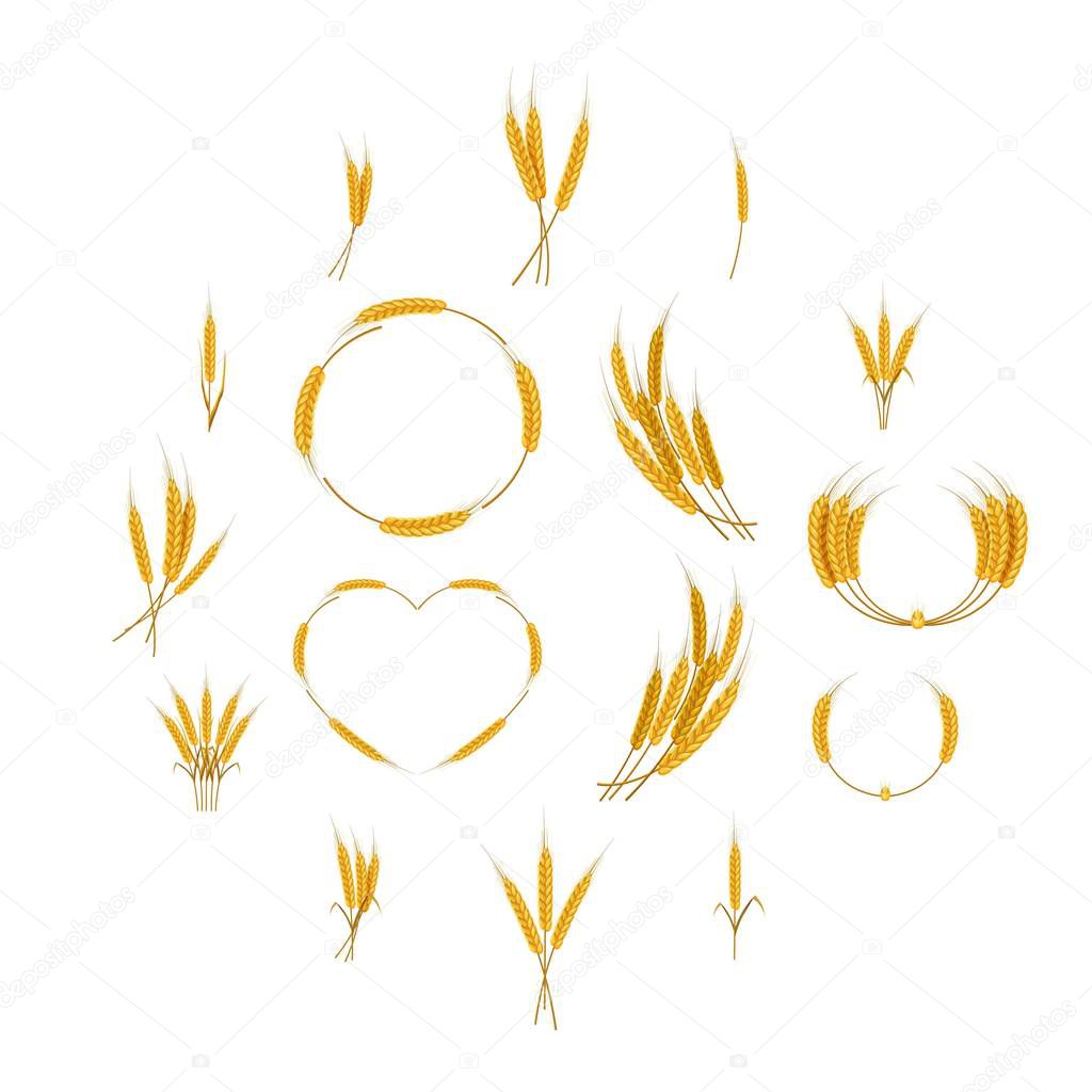 Ear corn food icons set. Cartoon illustration of 16 ear corn food vector icons for web