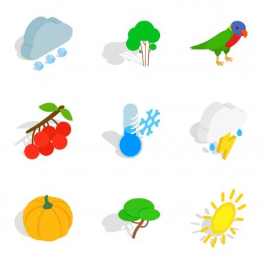 Yaban hayatı Icons set, izometrik stili