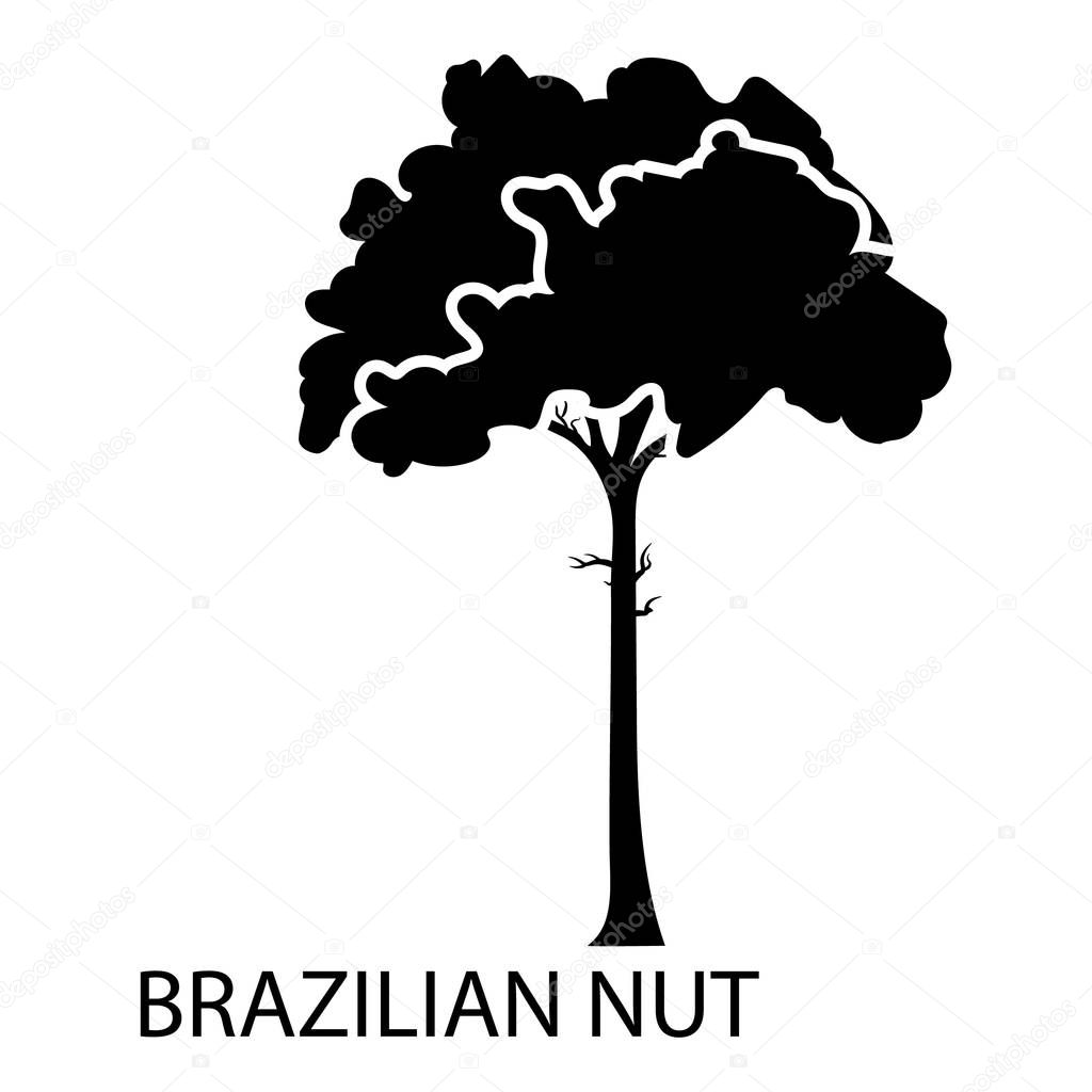 Brazilian nut icon. Simple illustration of brazilian nut vector icon for web