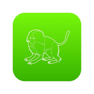 Gelada maymun yeşil simge vektör