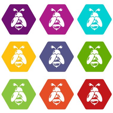 9 vektör Bee Icons set