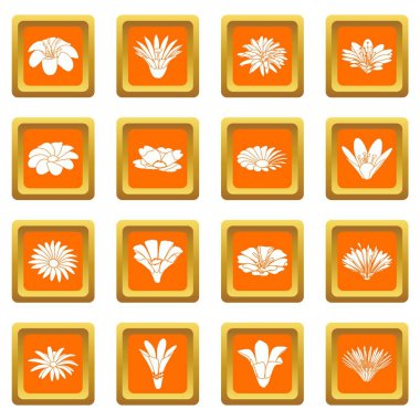 Turuncu kare vektör detaylı çiçek Icons set
