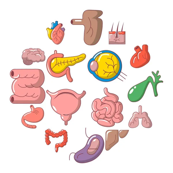 Set di icone di organi umani interni, stile cartone animato — Vettoriale Stock