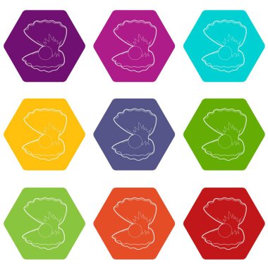 9 vektör inci kabuğu Icons set