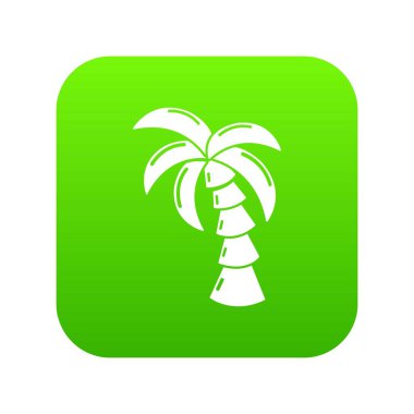 Palm yeşil simge vektör