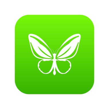 Kelebek simgesi dijital yeşil