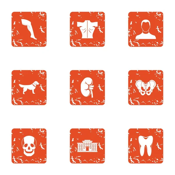 Conjunto de iconos de apéndice, estilo grunge — Vector de stock
