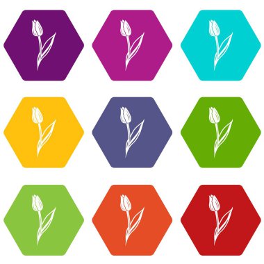 9 vektör Lale Icons set