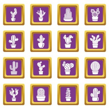 Mor kare vektör kaktüs Icons set