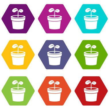 9 vektör bitki Icons set