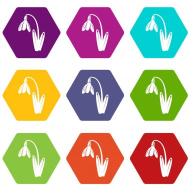 Ölü 9 vektör çiçek Icons set