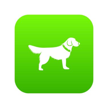 Köpek simgesi dijital yeşil
