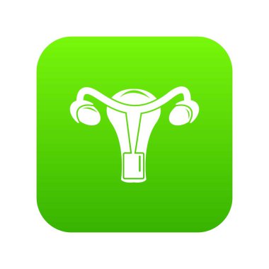 Dişi üreme organı yeşil simge vektör