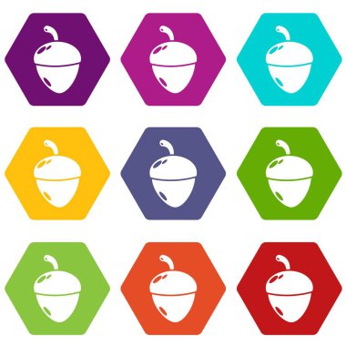 9 vektör meşe palamudu Icons set