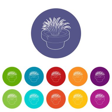 Ev bitki simgesi, anahat stili