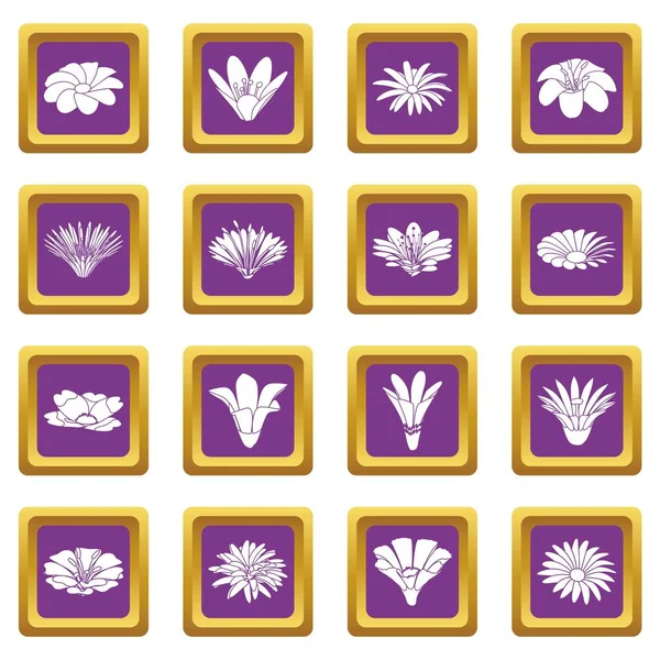 Detaillierte Blume Symbole gesetzt lila quadratischen Vektor — Stockvektor