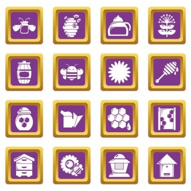 Mor kare vektör arı kovanı bal Icons set