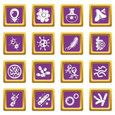 Mor kare vektör virüs bakteri Icons set