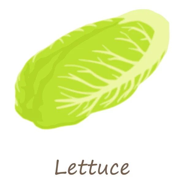 Lettuce icon, isometric style — Stock Vector