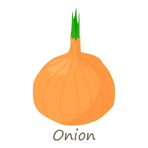 Onion icon, isometric style — Stock Vector