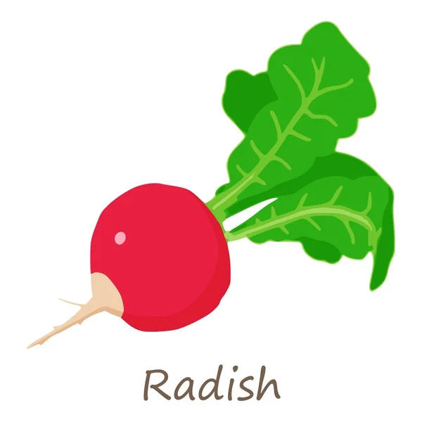 Fresh radish icon, isometric style — Stock Vector