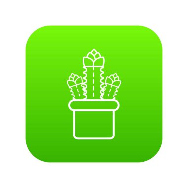 Üç kaktüs yeşil simge vektör