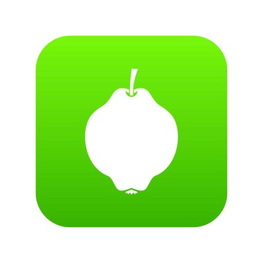 Ayva meyve simgesi dijital yeşil