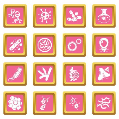 Pembe kare vektör virüs bakteri Icons set