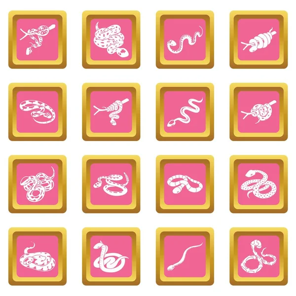 Icônes serpent ensemble vecteur carré rose — Image vectorielle