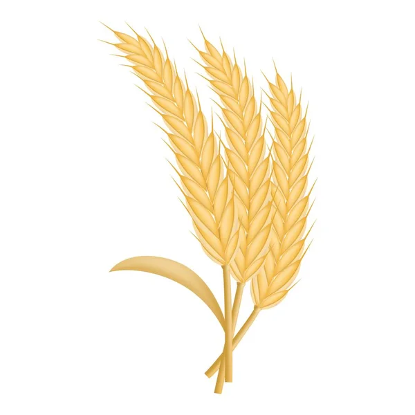 Икона экологической пшеницы, реалистичный стиль — стоковый вектор