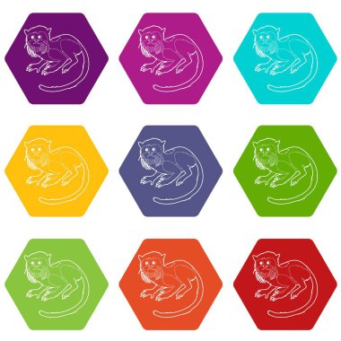 9 vektör imparatorluk tamarin Icons set
