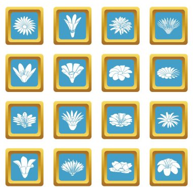 Sapphirine kare vektör detaylı çiçek Icons set
