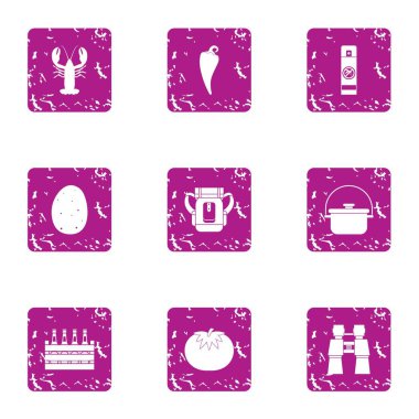 Bira BIZ simgeler kümesi, grunge tarzı