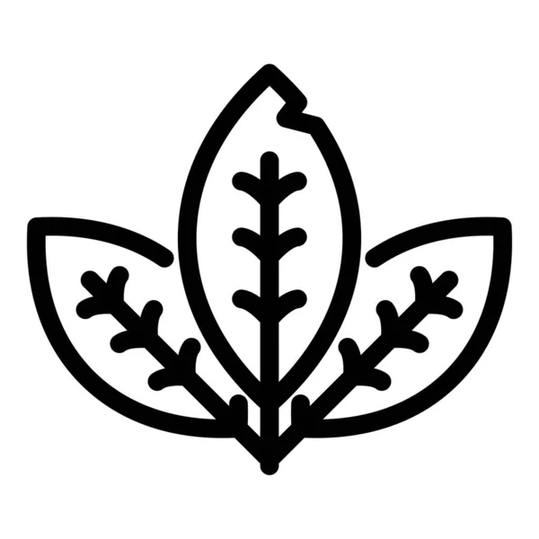 Icono de hoja de menta, estilo de contorno — Vector de stock
